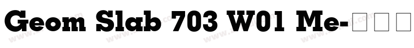 Geom Slab 703 W01 Me字体转换
